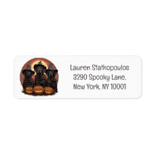 Halloween Labrador Retriever Hundar Witch Hats Returadress Etikett