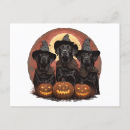 Halloween Labrador Retriever Hundar Witch Hats Vykort