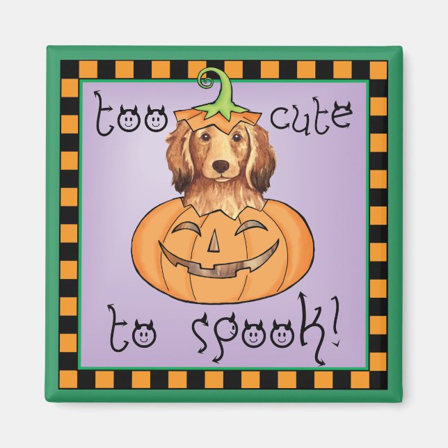 Halloween Långhårigare Dachshund Magnet (Framsidan)