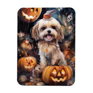 Halloween Lhasa Apso med pumpor Scary Magnet