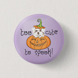 Halloween Maltese Pinback Button Knapp