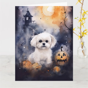 Halloween Maltese with Pumpkins Scary Kort