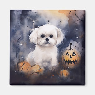 Halloween Maltese with Pumpkins Scary Magnet
