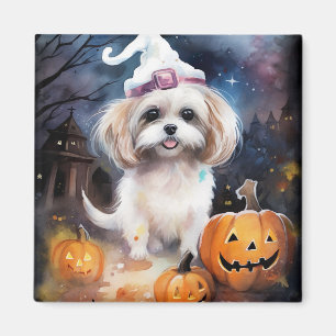 Halloween Malti Tzu med pumpor Scary Magnet