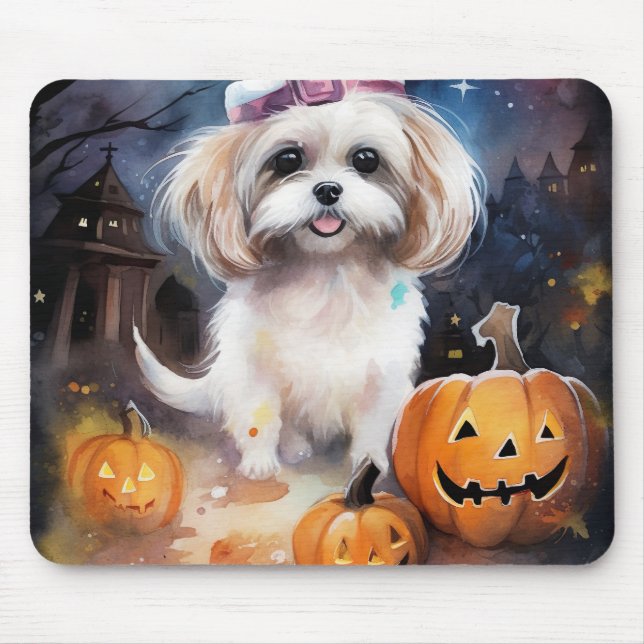 Halloween Malti Tzu med pumpor Scary Musmatta (Framsidan)