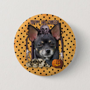 Halloween mardröm - Chihuahua - Isabella Knapp