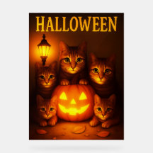 Halloween med Cat Orange Digital Art