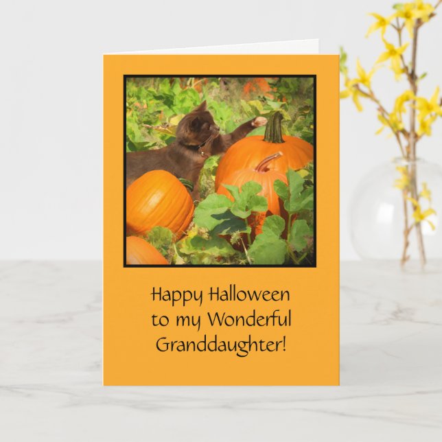 Halloween med Cute Cat Pumpkins for Granddotter Kort (Gul blomma)