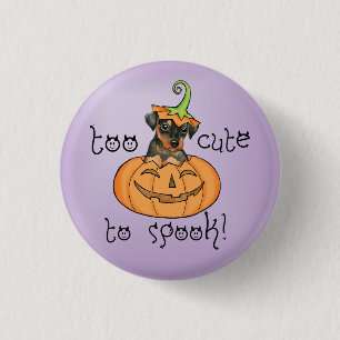 Halloween Min Pin Knapp