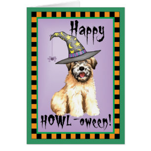 Halloween mjukt bestruket Wheaten Terrierkort Hälsningskort