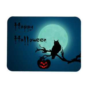 Halloween Natt Pumpkin Uggla Magnet