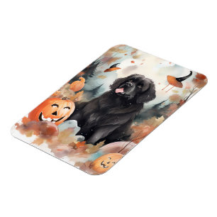 Halloween Newfoundland med pumpor Magnet
