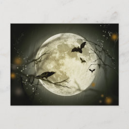 Halloween Night Vykort