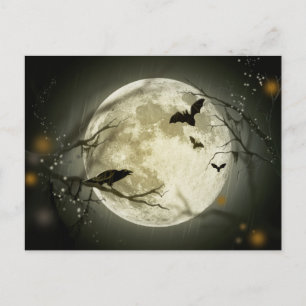 Halloween Night Vykort