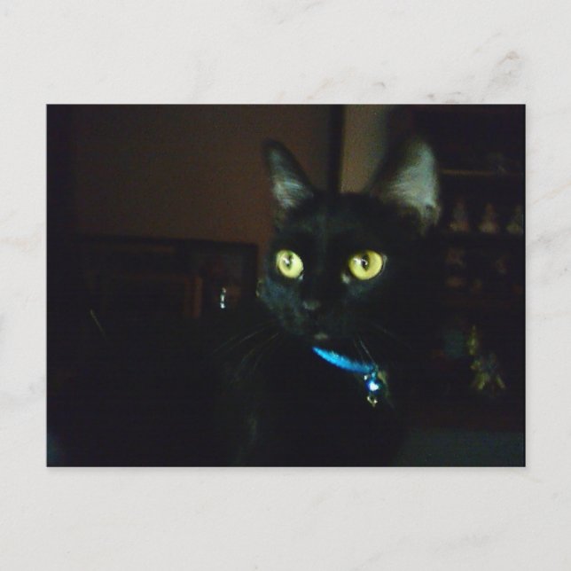 Halloween Ögon Vykort (Framsida)