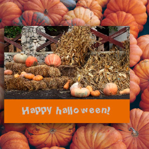 Halloween Orange pumkin rustic Vykort