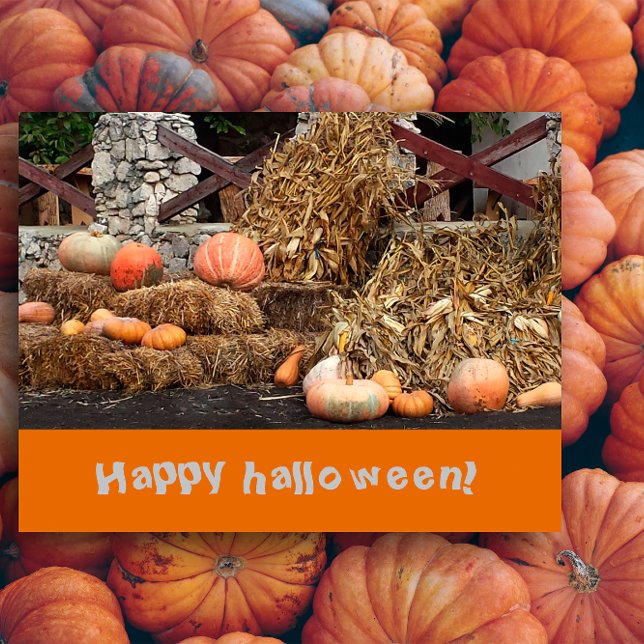 Halloween Orange pumkin rustic Vykort (Skapare uppladdad)