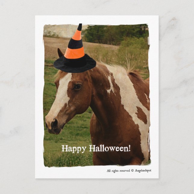 Halloween Paint Horse Vykort (Framsida)