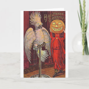 Halloween Parrot och Pumpkin Kort