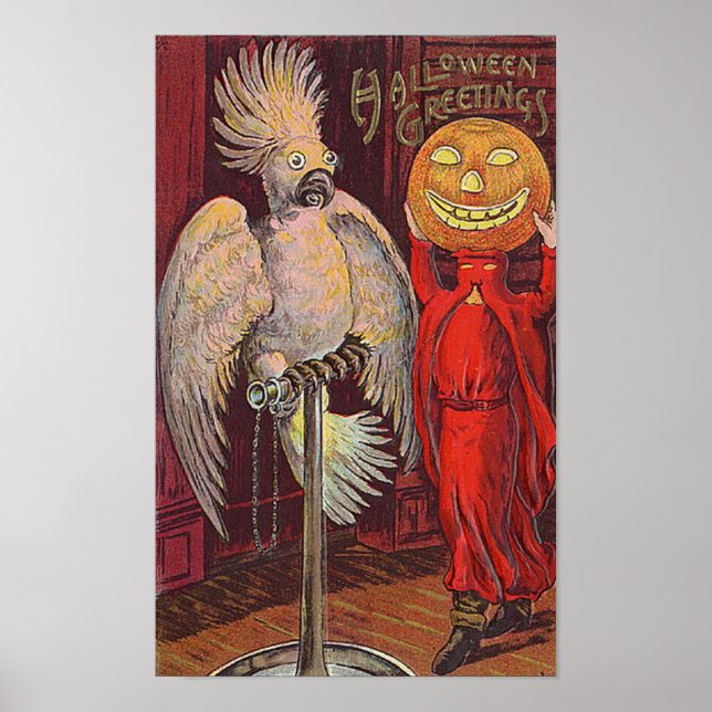 Halloween Parrot och Pumpkin Poster (Framsidan)