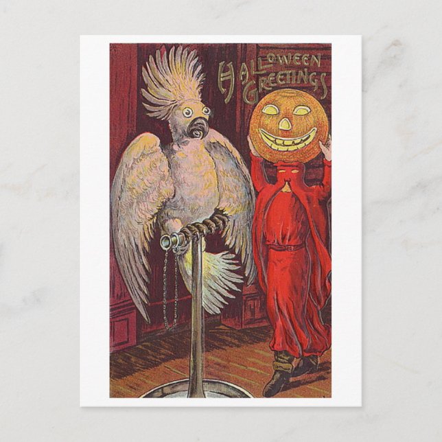 Halloween Parrot och Pumpkin Vykort (Framsida)