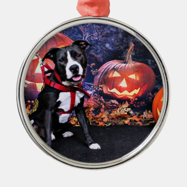 Halloween - Pitbull - Loki Julgransprydnad Metall (Framsidan)