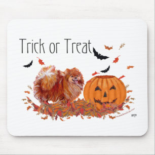 Halloween Pomeranian Musmatta