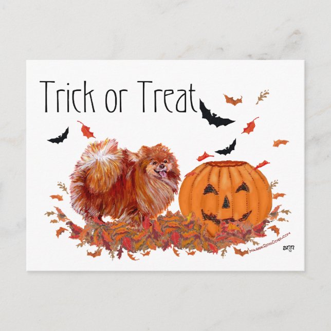 Halloween Pomeranian Vykort (Framsida)
