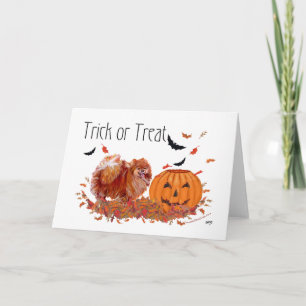 Halloween Pommanian Kort