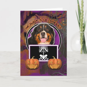 Halloween - precis en spöklika Lil - Bernese Kort