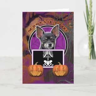 Halloween - precis en spöklika Lil - Chihuahua Kort