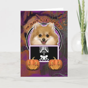 Halloween - precis en spöklika Lil - Pomeranian Kort