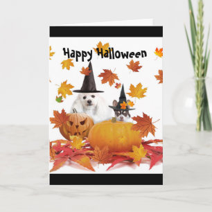 Halloween pudel och chihuahua hund-kort kort