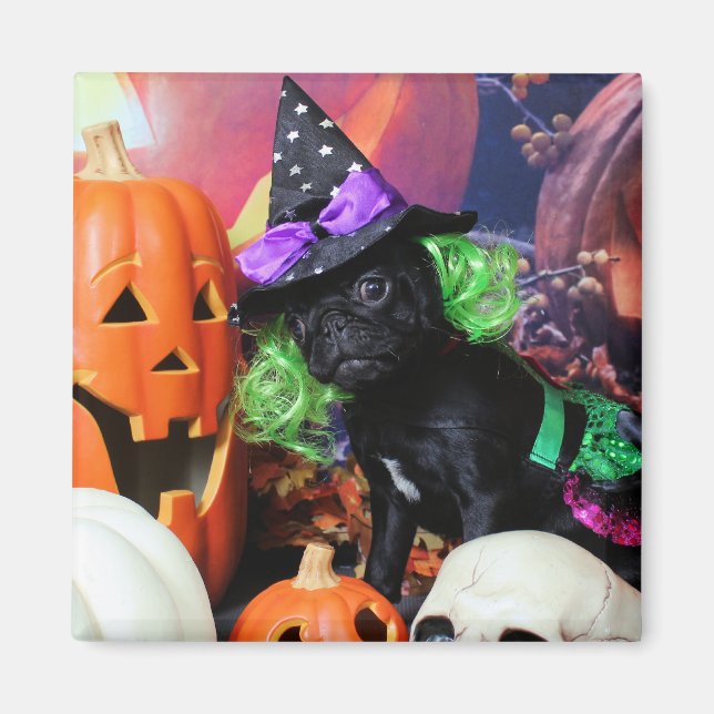 Halloween - Pug - Daisy Mae Magnet (Framsidan)