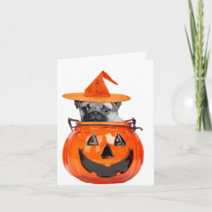 Halloween pug-hund kort