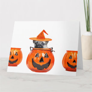 Halloween pug-hund kort