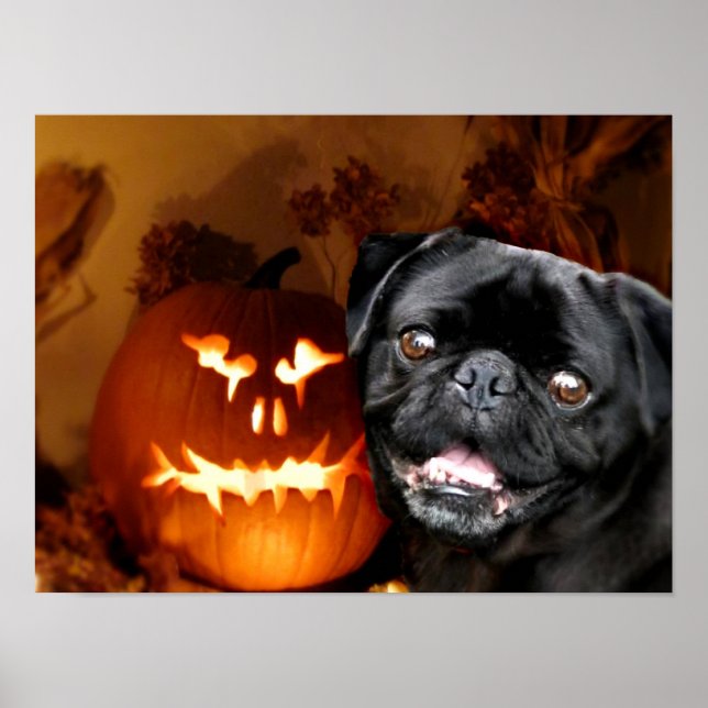 Halloween Pug Hund Poster (Framsidan)