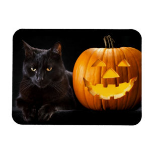 Halloween-pumpa och svart katt magnet