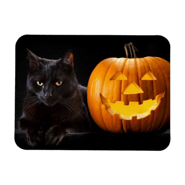 Halloween-pumpa och svart katt magnet (Horisontell)