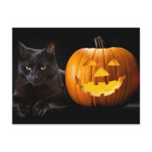 Halloween-pumpa och svart katt