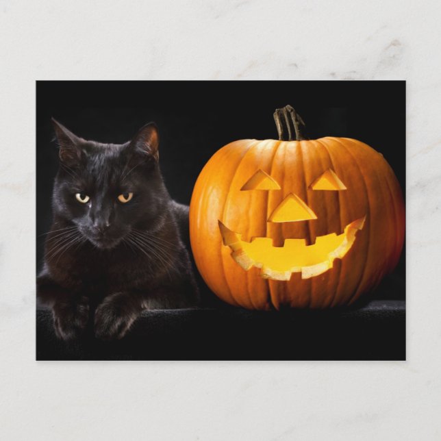 Halloween-pumpa och svart katt vykort (Framsida)