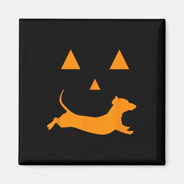 Halloween Pumpkin Dachshund Jack-o-lantern Costume Magnet (Framsidan)