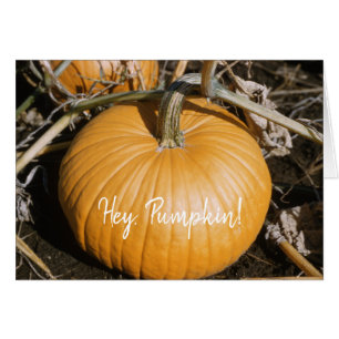 HALLOWEEN Pumpkin Fall Squash för hösten Big Orang Hälsningskort