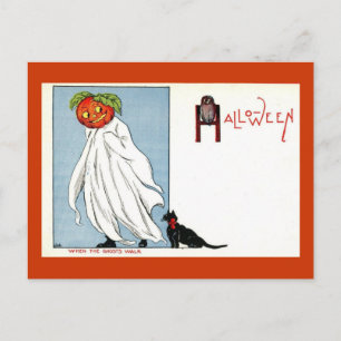 Halloween Pumpkin Ghost Black Cat Vintage Vykort