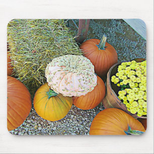 Halloween Pumpkin Hay Hösthöstens Visning Mouse Pa Musmatta