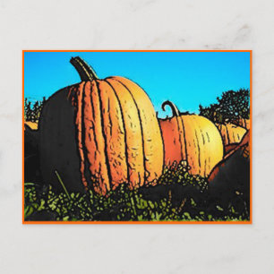 Halloween Pumpkin Patch i Daytime Vykort