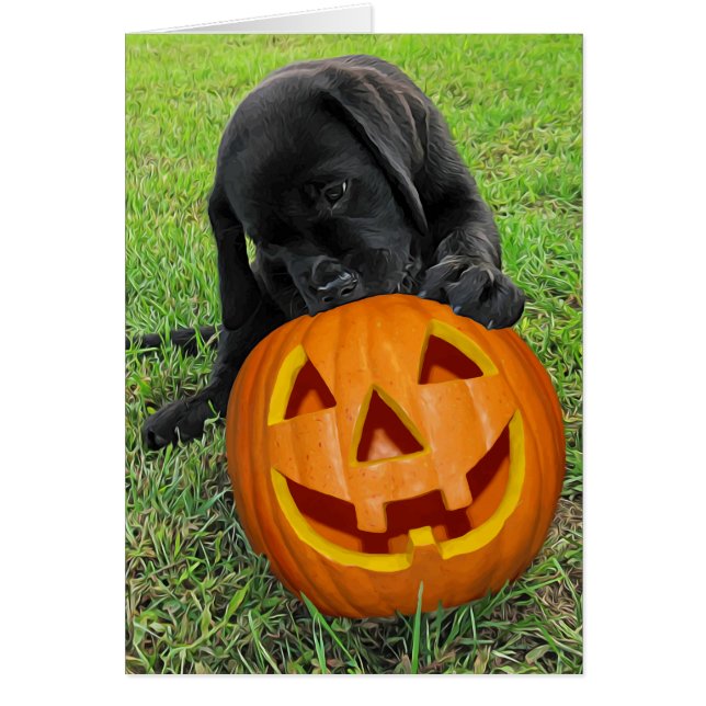 Halloween Pumpkin Puppy - Svart lab Hälsningskort (Framsidan)