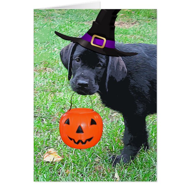 Halloween Pumpkin Puppy - Svart lab Hälsningskort (Framsidan)