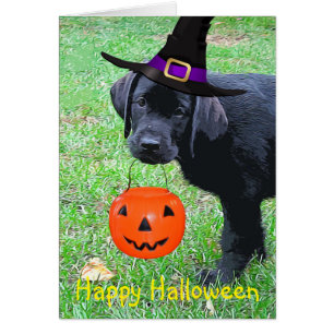 Halloween Pumpkin Puppy - Svart lab Hälsningskort