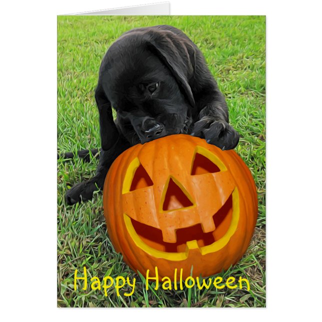 Halloween Pumpkin Puppy - Svart lab Hälsningskort (Framsidan)